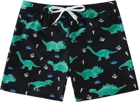 Boys Swim Trunks Quick Dry Board Shorts Swimwear Trunks Hawaii Beach Swimsuit Toddler Bathing Suit Bottom Kid 2-8Years